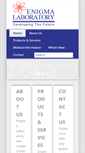 Mobile Screenshot of enigmalabs.com